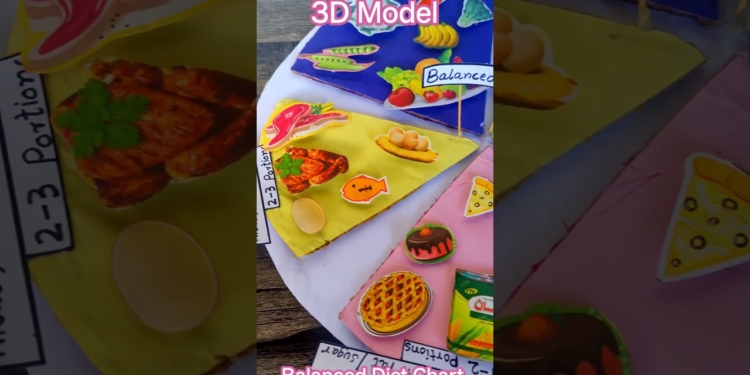 Balanced Diet Chart with Cardboard|Balanced diet project|Balanced diet food pyramid 3d model