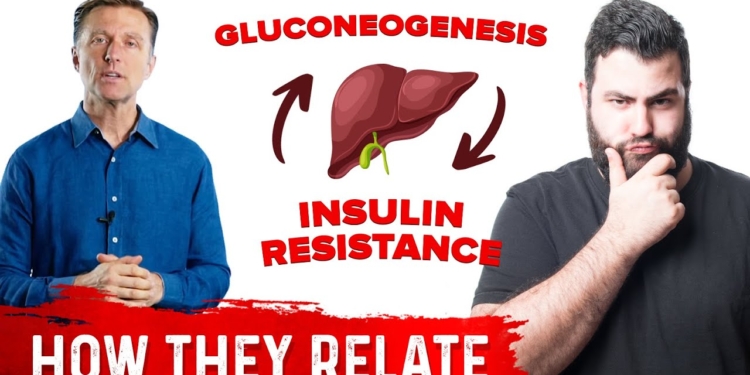 Insulin Resistance and Gluconeogenesis