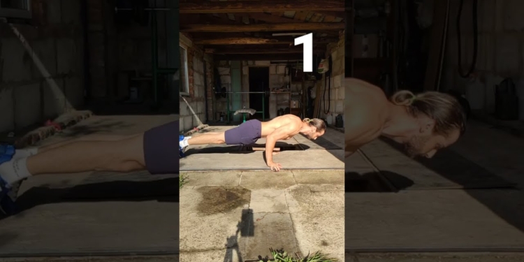 TOP 3 Planche Exercises