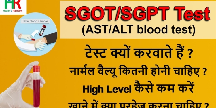 SGOT test in hindi | SGPT  | ALT , AST | क्यों किया जाता है | Danger level | Normal Value & Ratio