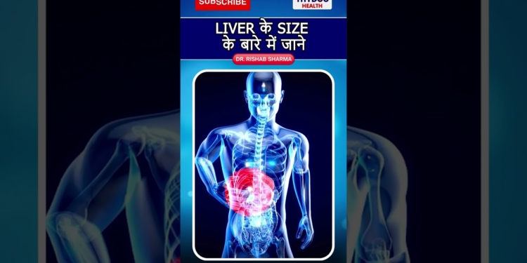 liver के size के बारे में जाने #liverproblems #liverdisease #liverinfection #thydochealth