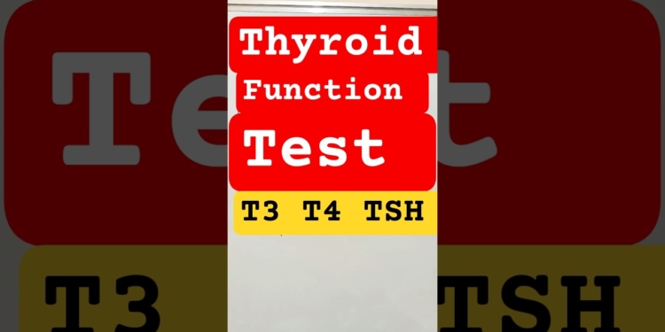 thyroid function test #tft #thyroid #thyroidproblems #hyperthyroidism #hypothyroidism #shorts #t3