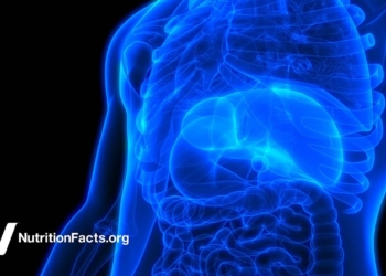 How to Prevent Non-Alcoholic Fatty Liver Disease