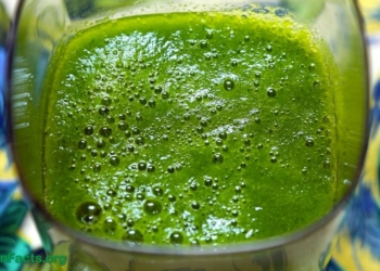 Liver Toxicity Due to Broccoli Juice?