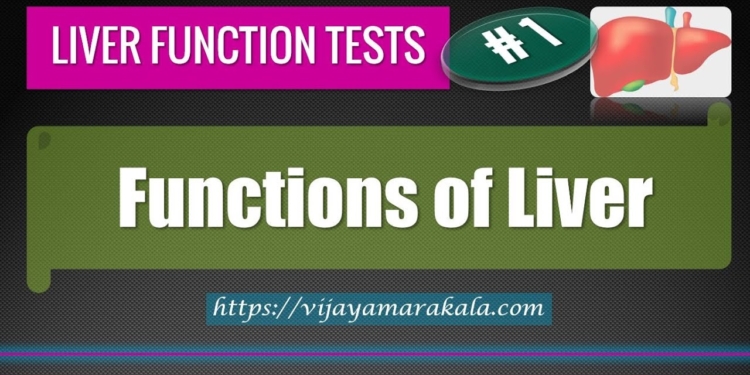 Liver Function Tests (Part 1) | Functions of the Liver Explained | Dr Vijaya Marakala