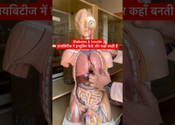 Diabetes, Insulin & Pancreas । डायबिटीज में इन्सुलिन कैसे और कहाँ बनती हैं #viral #shorts #trending