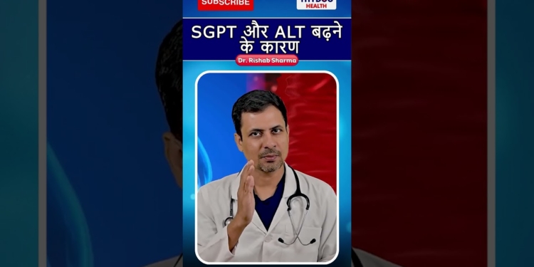 Sgpt और Alt बढ़ने  के कारण #sgpt #liver #liverdamage #liverproblems #liverinfection #thydochealth
