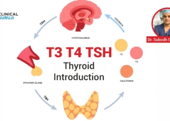 Thyroid Introduction (T3, T4, TSH)
