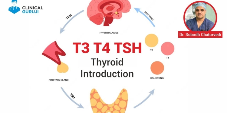 Thyroid Introduction (T3, T4, TSH)
