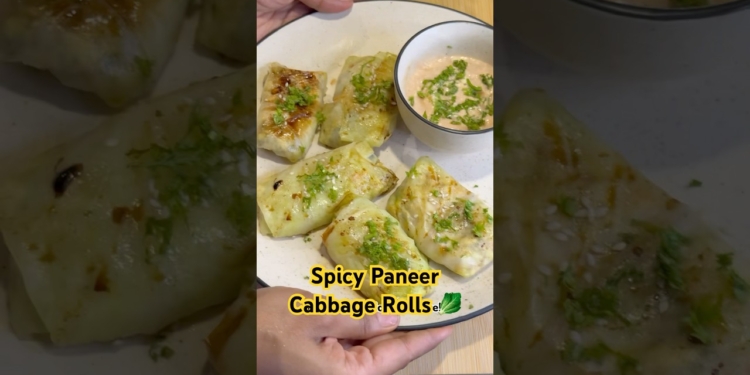 Spicy Paneer Cabbage Rolls 🥬 | High Protein Momo Alternative | No Maida, Full Taste! #cabbagemomos