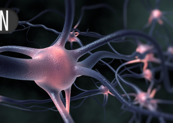 Can Gabapentin Improve Brain Injury Outcomes?