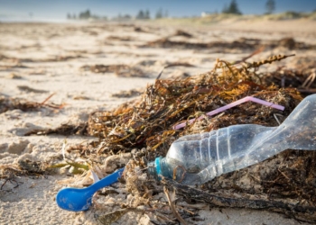 Earth Day 2026: India’s plastic crisis and blame game