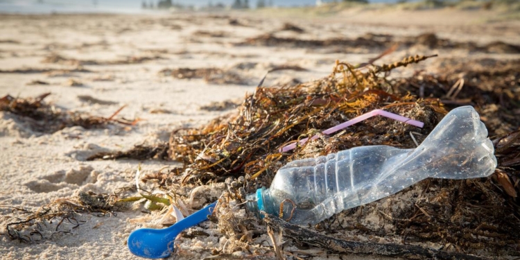 Earth Day 2026: India’s plastic crisis and blame game