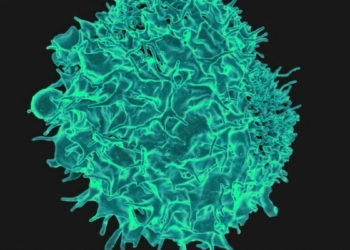 Enhanced CAR-T therapy clears solid tumours by finding ‘faint’ targets