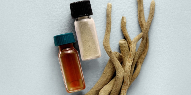 FDA to Fast-Track Psychedelic Drugs for PTSD: What This Means