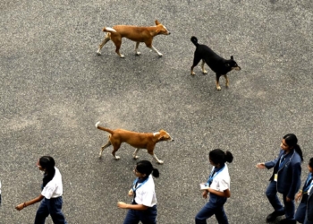 Four Kerala govt doctors booked on negligence charges over 7-year-old girl’s rabies death