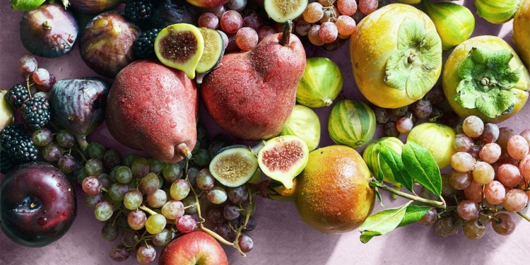 Fructose in Ultra-Processed Foods May Raise Metabolic Disease