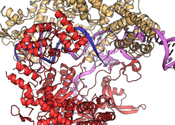Gene drives and malaria: how altered mosquitoes could reshape disease control