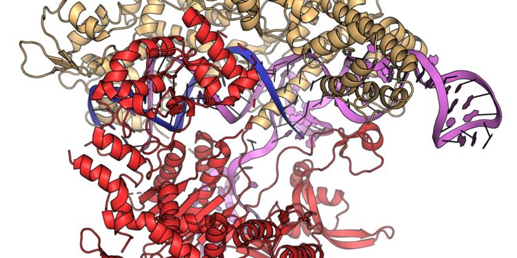 Gene drives and malaria: how altered mosquitoes could reshape disease control