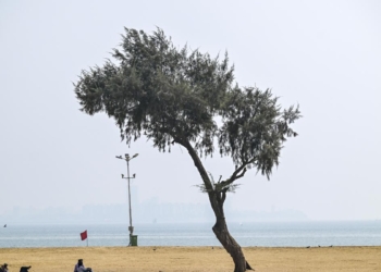 Heatwave alert in Maharashtra till April 20; Akola hottest at 44.2°C