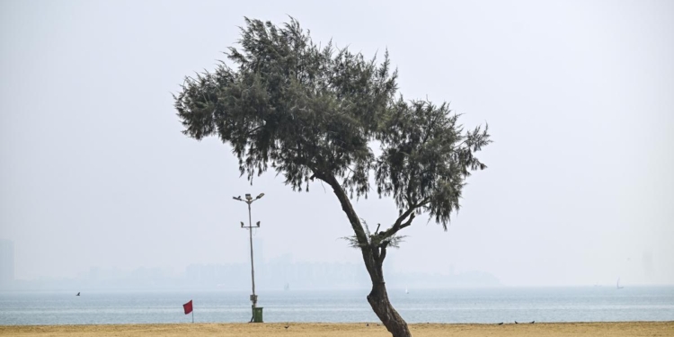 Heatwave alert in Maharashtra till April 20; Akola hottest at 44.2°C