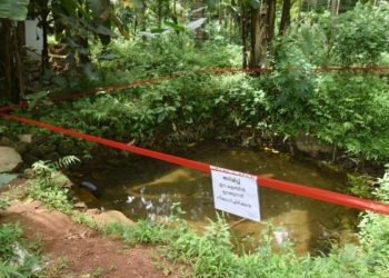 Kerala health alert: Public urged to stay vigilant against amoebic brain infections during summer