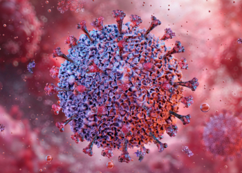 Mono and MS: New Research Deepens Link