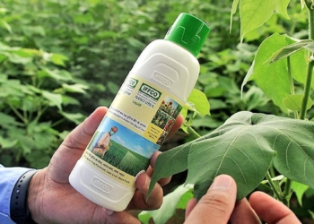 Nano urea and public health: why India must proceed with caution