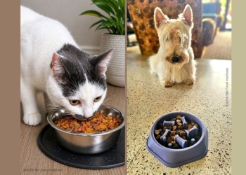 National Pet Month: Experts urge swapping table scraps for science-backed nutrition