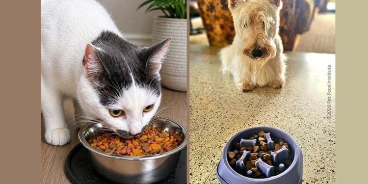 National Pet Month: Experts urge swapping table scraps for science-backed nutrition
