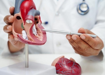 New molecular pathways contributing to cardiovascular disease in Indians found