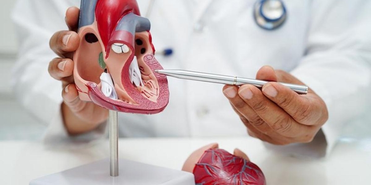 New molecular pathways contributing to cardiovascular disease in Indians found