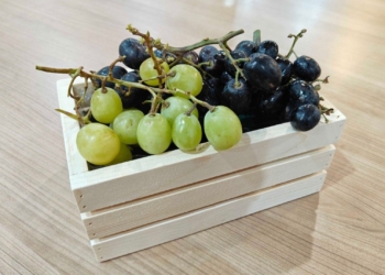 Philippines closing in as 3rd-biggest Australian grapes exporter