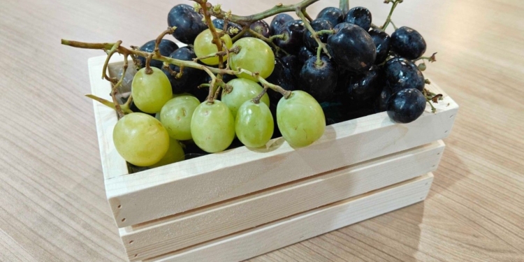 Philippines closing in as 3rd-biggest Australian grapes exporter