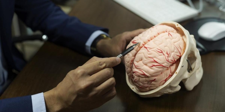 Physical, social factors may together account for up to 9 times higher risk of faster brain ageing: Study