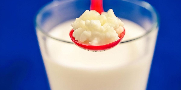 Probiotics and heart health: hype or real benefit?