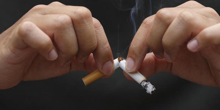 Quitting tobacco could give economic boost to over 20.5 million households in India: Analysis