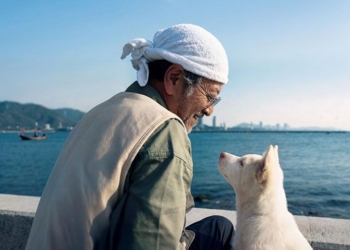 Rescued dog now a superstar in Thailand