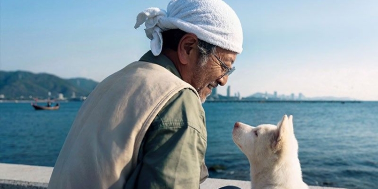 Rescued dog now a superstar in Thailand