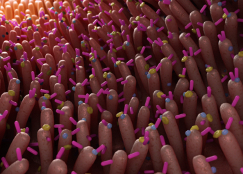 Six Gut Markers May Identify Early Cognitive Decline