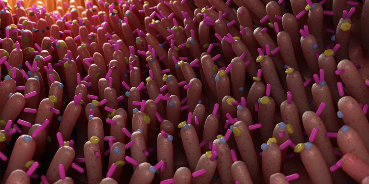 Six Gut Markers May Identify Early Cognitive Decline