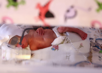 Study on Maternal RSV Vaccine Flags Possible Risk, Calls for More Research