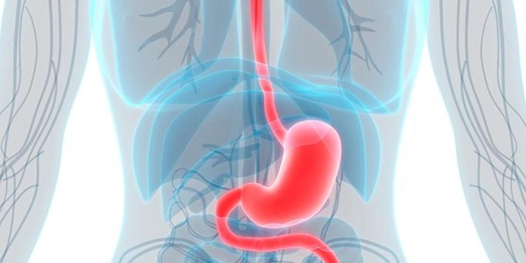Survey flags low colorectal cancer awareness, rising digestive health risks in Bengaluru