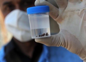 Teenager becomes first Congo virus fatality in Pakistan's Karachi