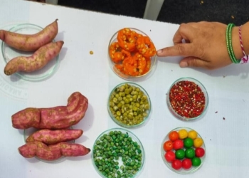 Telangana Food Safety Department demonstrates methods to identify adulterated food