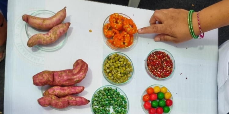 Telangana Food Safety Department demonstrates methods to identify adulterated food