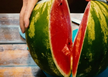The green and crimson chemistry of the watermelon