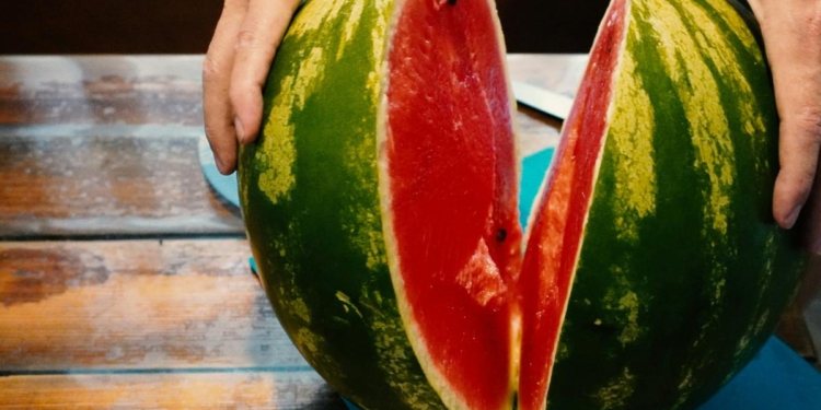 The green and crimson chemistry of the watermelon