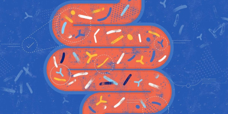 The heat and your gut: what rising temperatures can do to your digestion