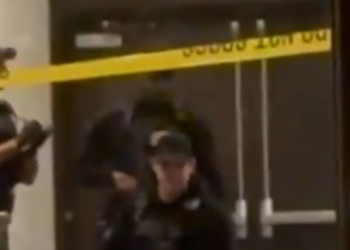 Video shows suspect from WHCD shooting detained by officials